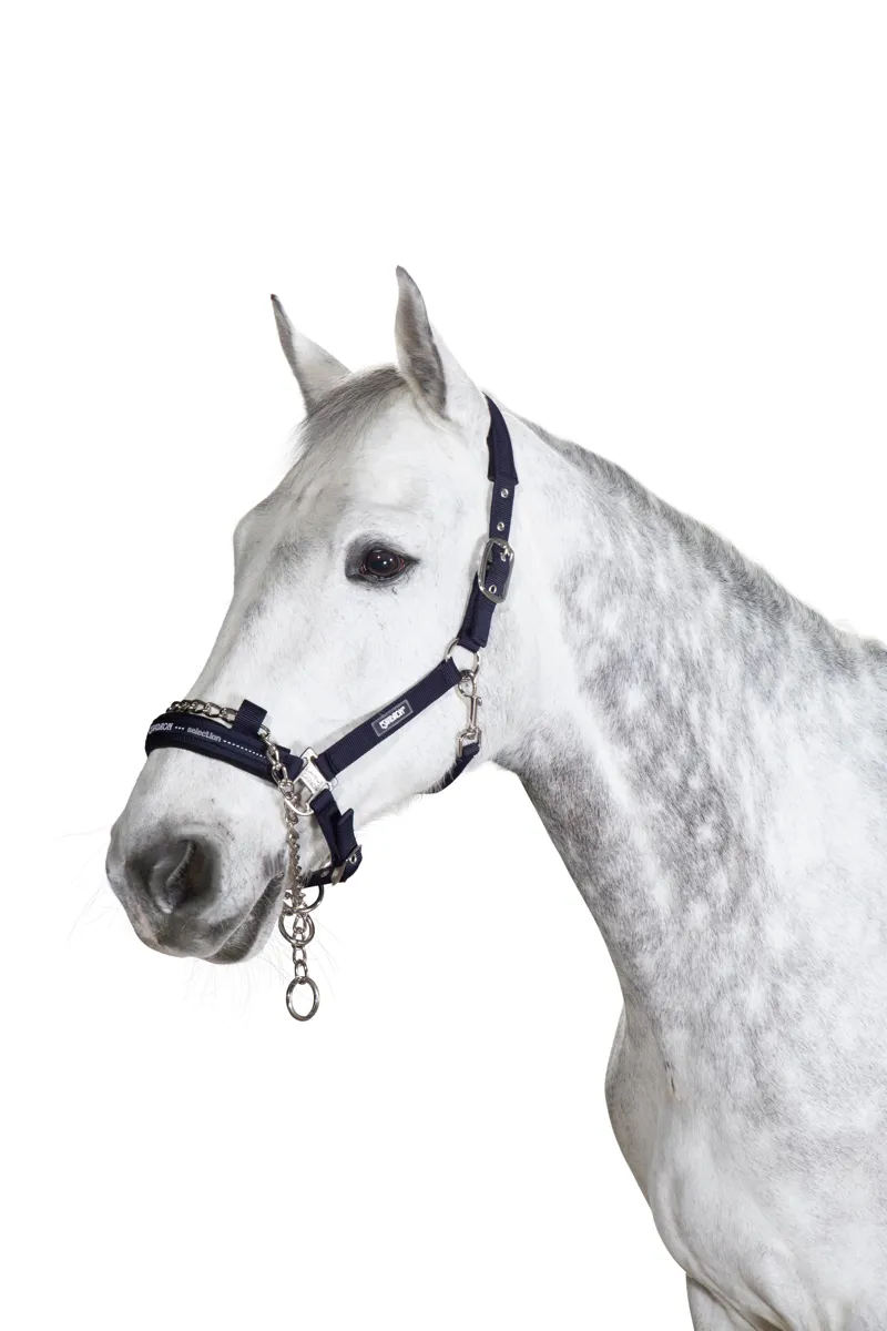 Eskadron Controlling Headcollar Navy-1